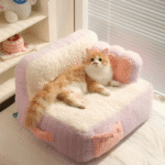 cat couch
