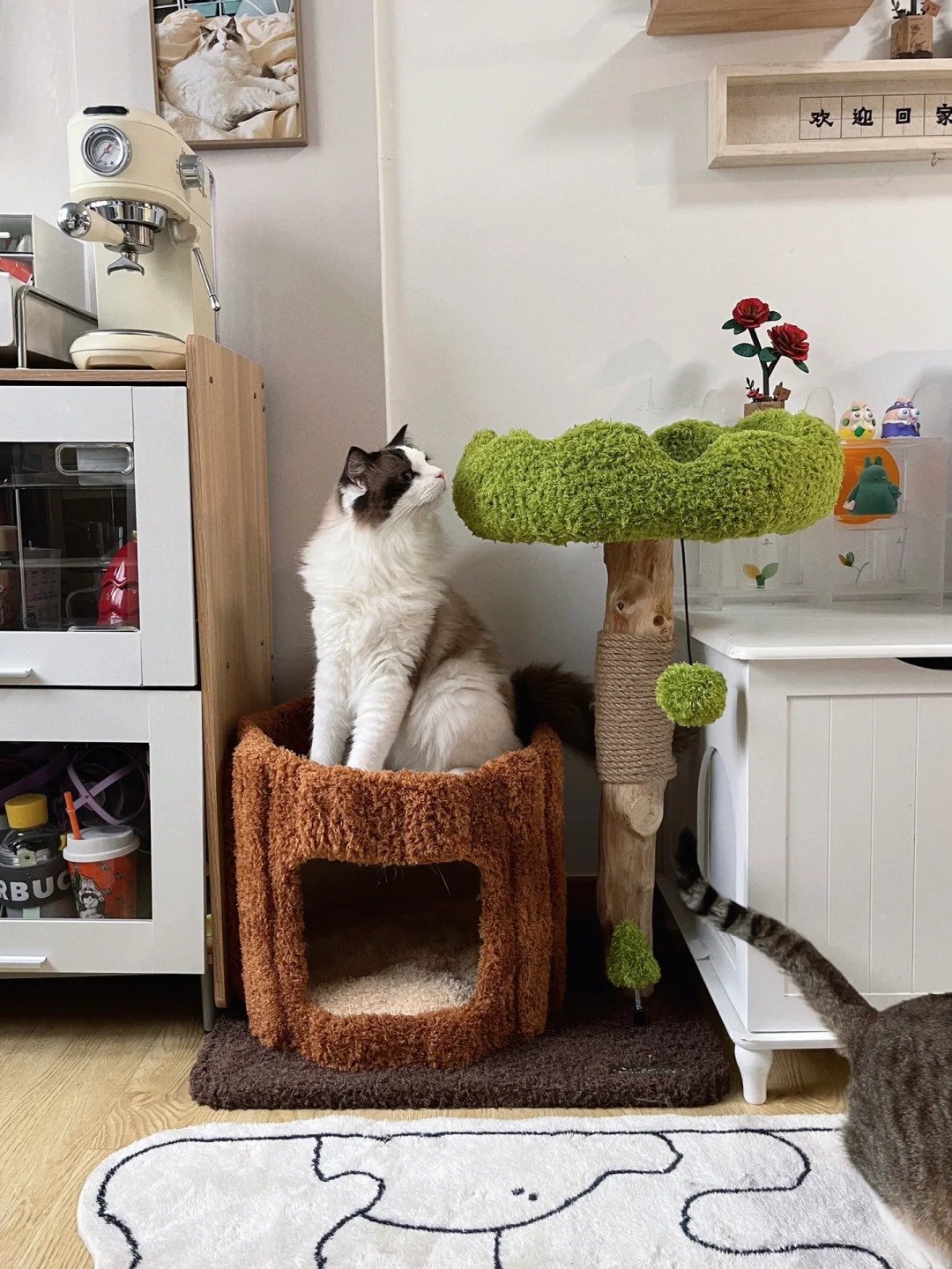 wooden cat tree